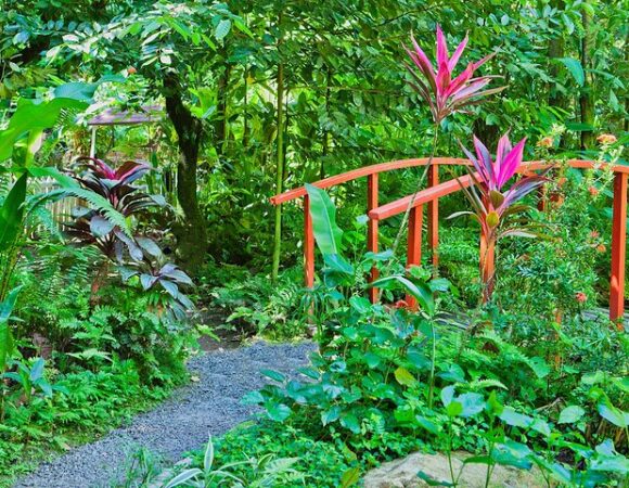 Diamond Falls Botanical Gardens Tour