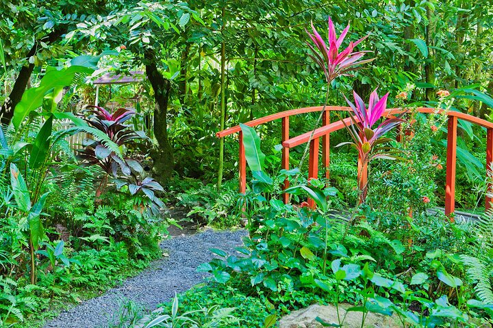 Diamond Falls Botanical Gardens Tour