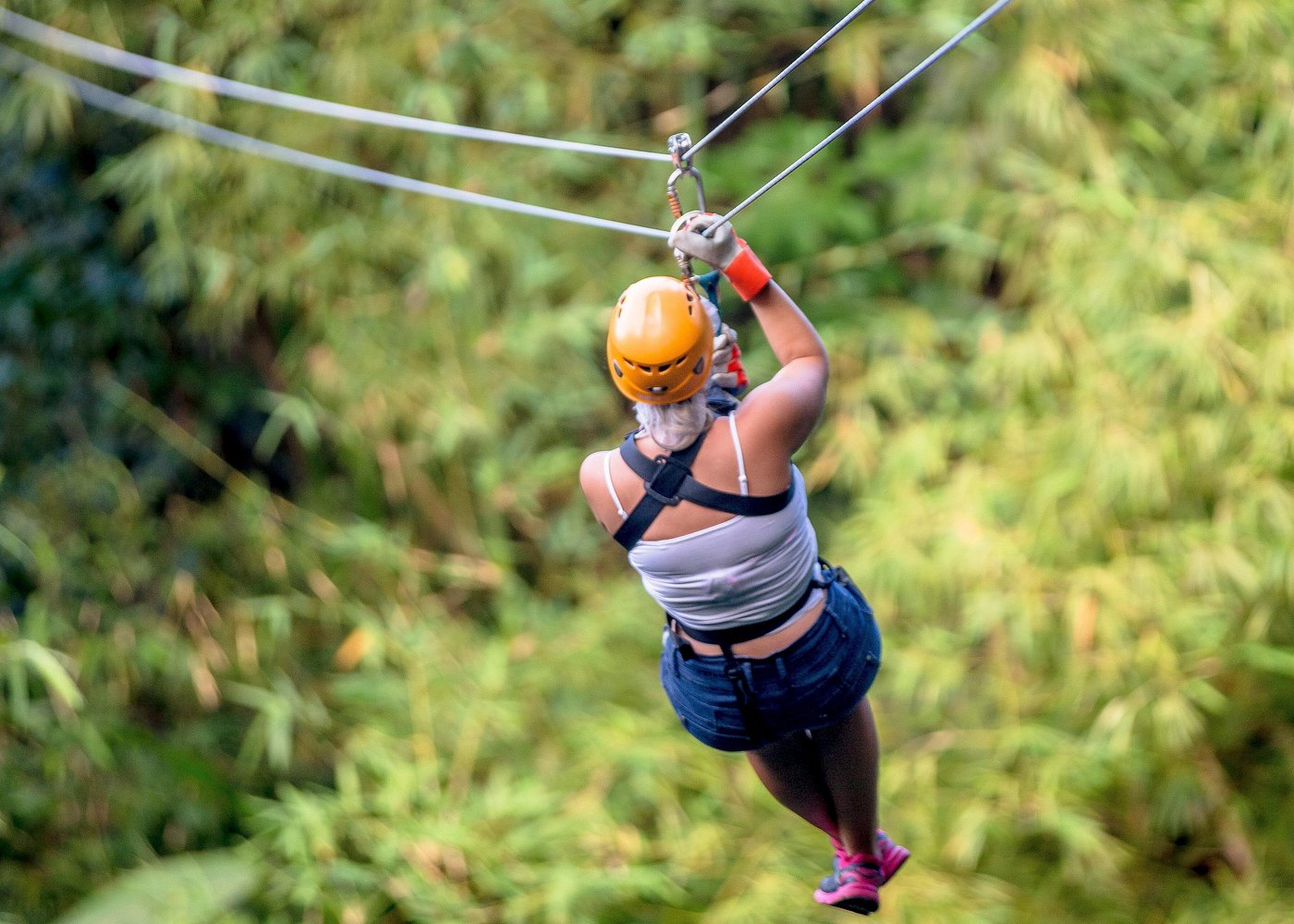 Zip Line Tour